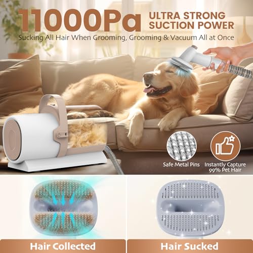 Dog Grooming Vacuum Pet Grooming Kit with Dog Clippers 25L Dust Cup 11000Pa Dogs Vacuum for Shedding Grooming 5 Grooming Tools Home Cleaning in 1 Low Noise Pet Grooming Vacuum for Dogs PG50